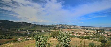 A panoramic view of a rural landscape with rolling hills, vineyards, and a small town in the distance.