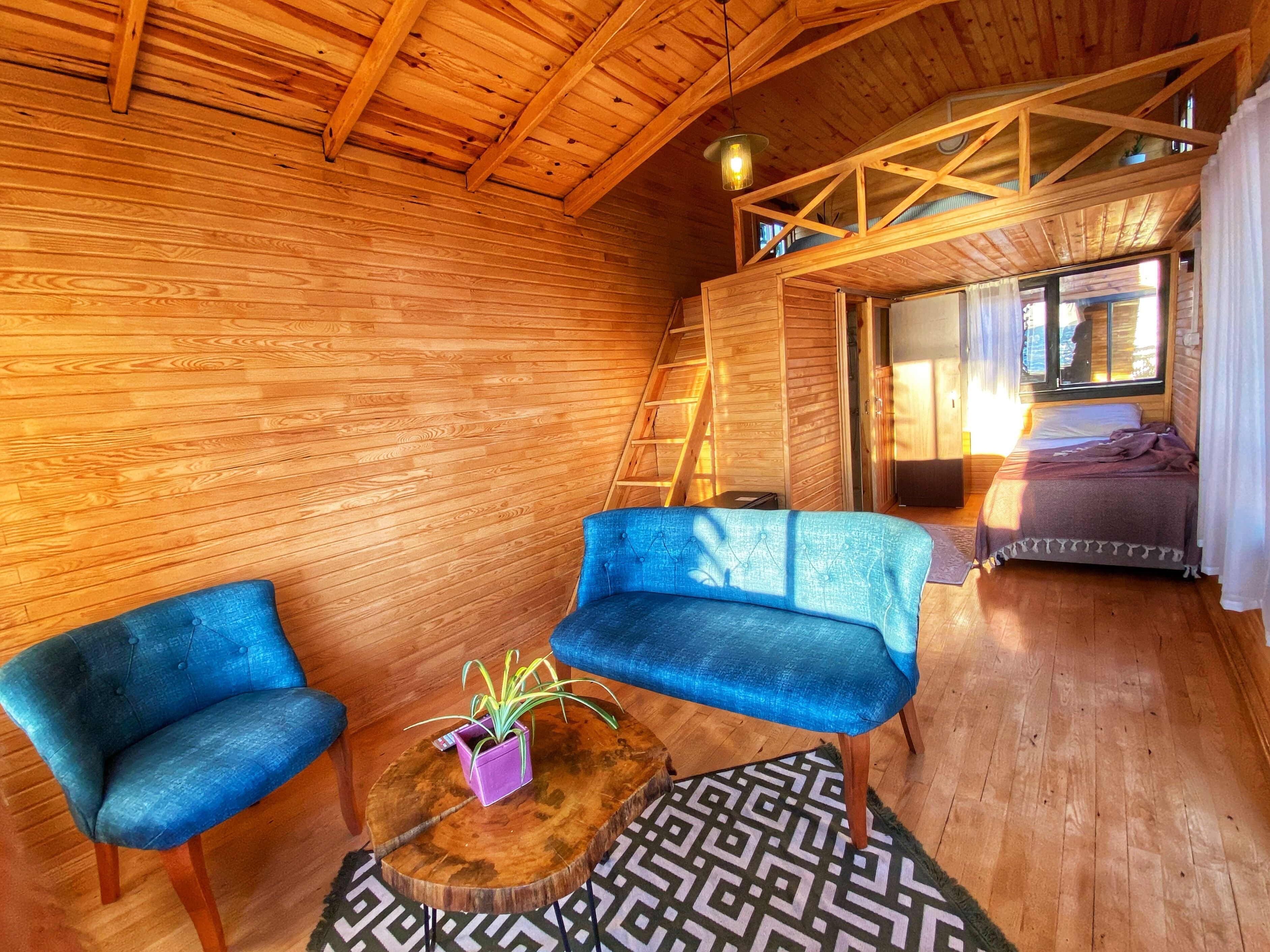 Um interior de madeira acolhedor com uma cama mezanina, um sofá azul e uma pequena mesa com uma planta.