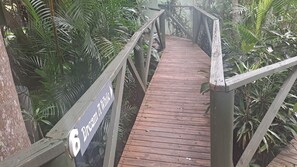 Property grounds - Dream Chalet on Gallery Walk with kitchen fireplace spa 55" TV Wifi (Tamborine Mountain)