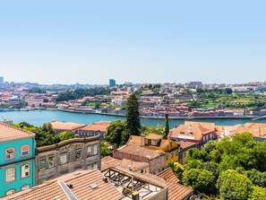 Panoramic Suite | View from room