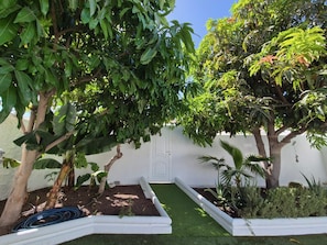 A garden with various plants and a white wall in the background.