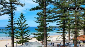 A beach view with tall pine trees, a small pavilion, and people walking along the promenade. - The Ryokan - Zen (Manly)