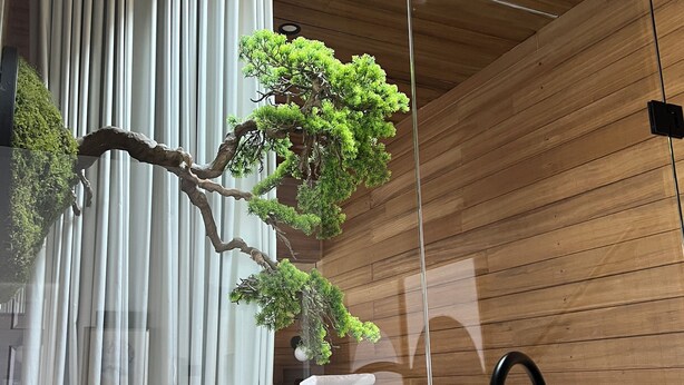 A modern interior with a wooden ceiling, a skylight, a potted bonsai tree, a white curtain, a black faucet, and a framed sign on the floor. - The Ryokan - Zen (Manly)