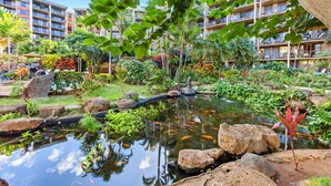 Un patio de hotel con un estanque, rocas y diversas plantas.