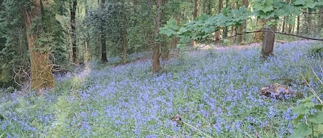 Terrain de lâhĂ©bergement
