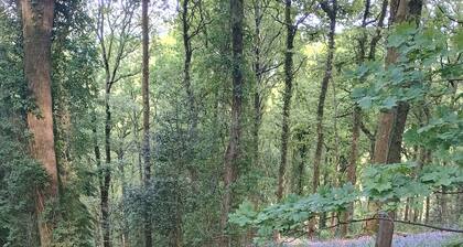 Cosy studio apartment views, walks from the doorstep. Newly redecorated for 2026