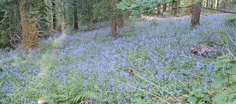 Cosy studio apartment views, walks from the doorstep. Newly redecorated for 2026