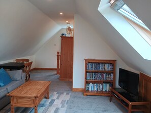 Télévision, lecteur de DVD, livres, vidéothèque