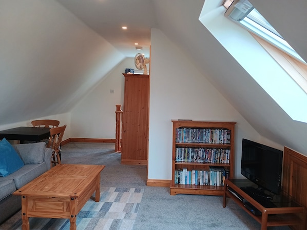 TV, DVD player, books, video library