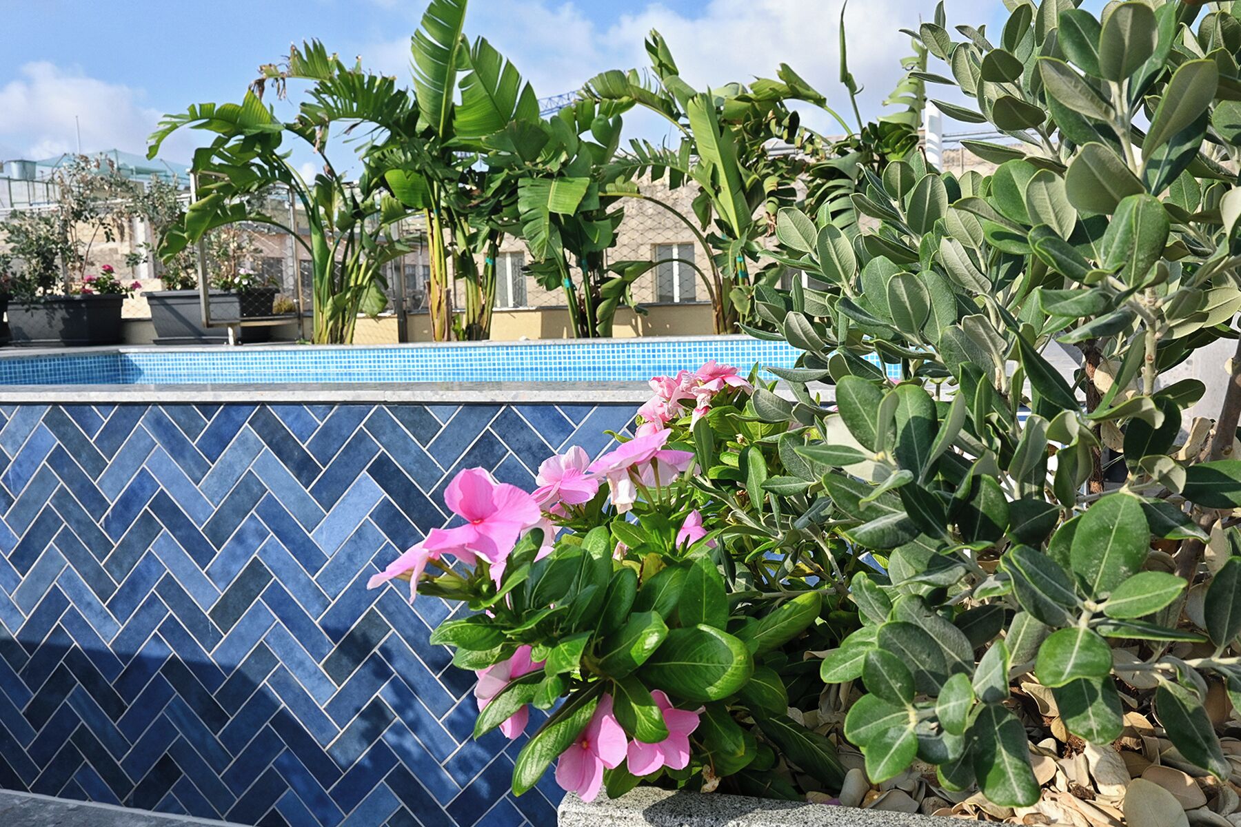 Una piscina con paredes de azulejos azules, rodeada de diversas plantas verdes y flores rosadas.