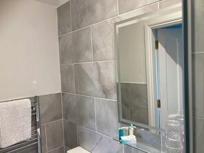 ห้องพรีเมียมดับเบิลหรือทวิน | ห้องน้ำ | ฝักบัว, เรนชาวเวอร์, ของใช้ในห้องน้ำฟรี, ไดร์เป่าผม