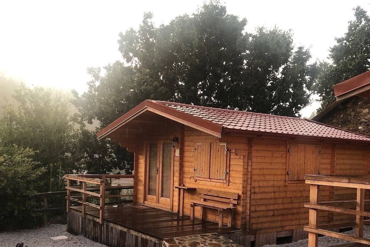A wooden cabin with a stone pathway leading to the entrance.
