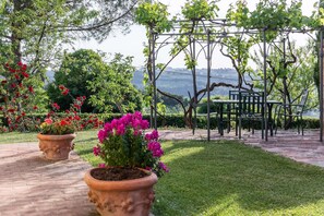 Ein Garten mit einer Pergola, Topfpflanzen und einer Bank.