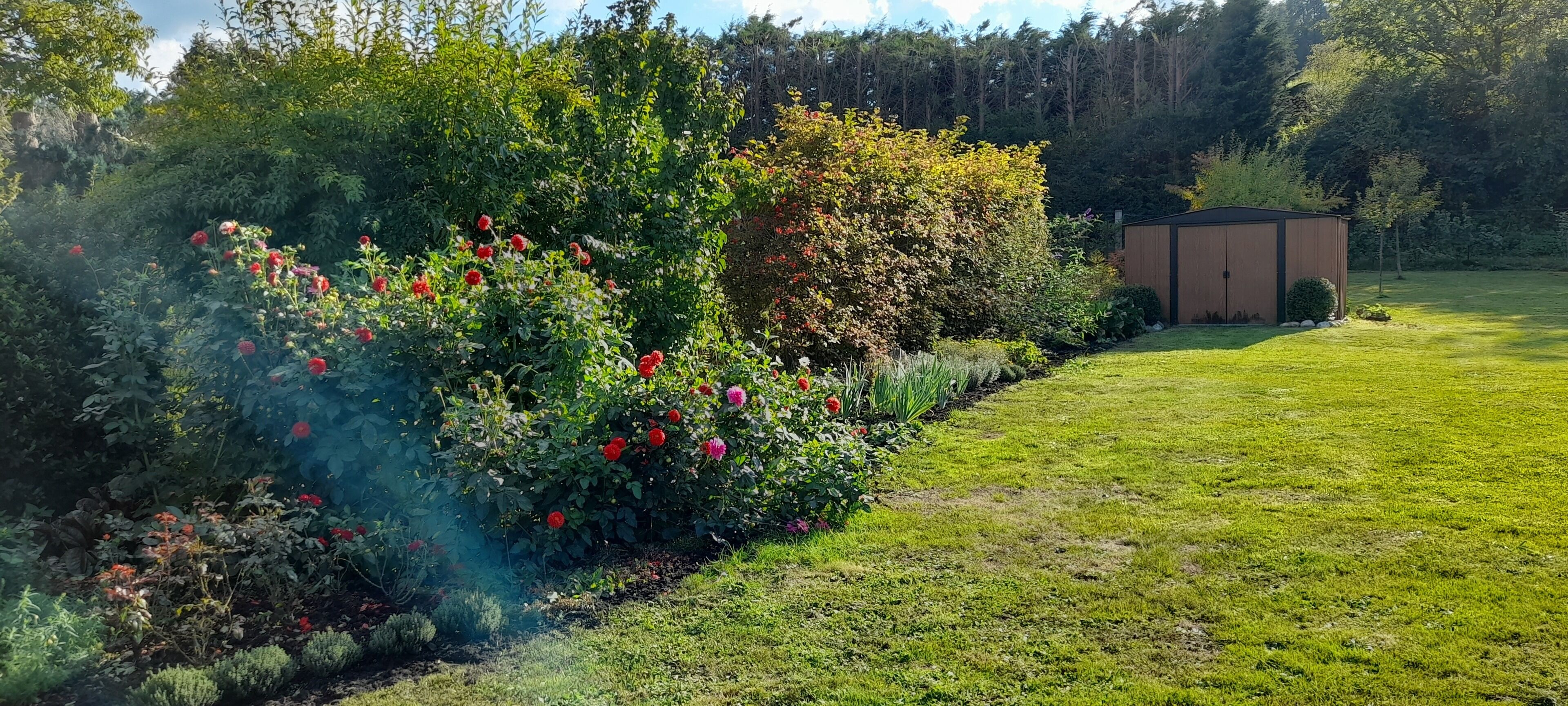 A garden with a shed and a lawn. - The Meuse is at the end of the garden (Fépin)