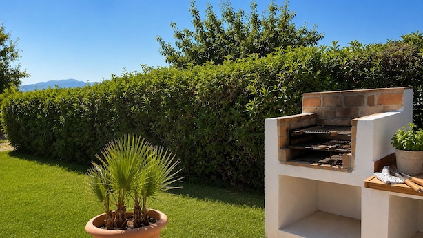 Un espace barbecue extérieur agrémenté d’une plante en pot et d’une haie en arrière-plan.