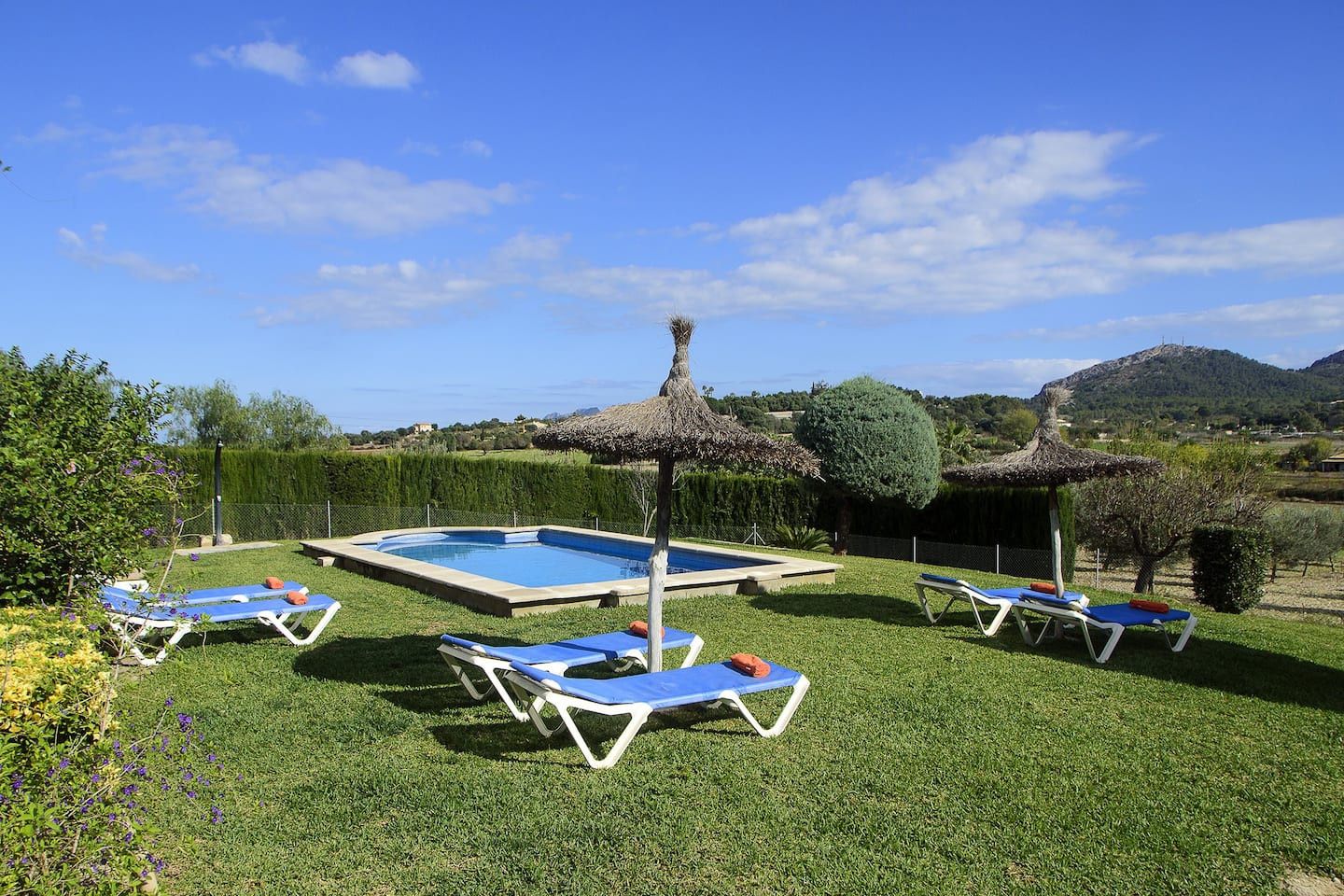 A pool area with lounge chairs and a thatched umbrella, surrounded by well-maintained grass and hedges.