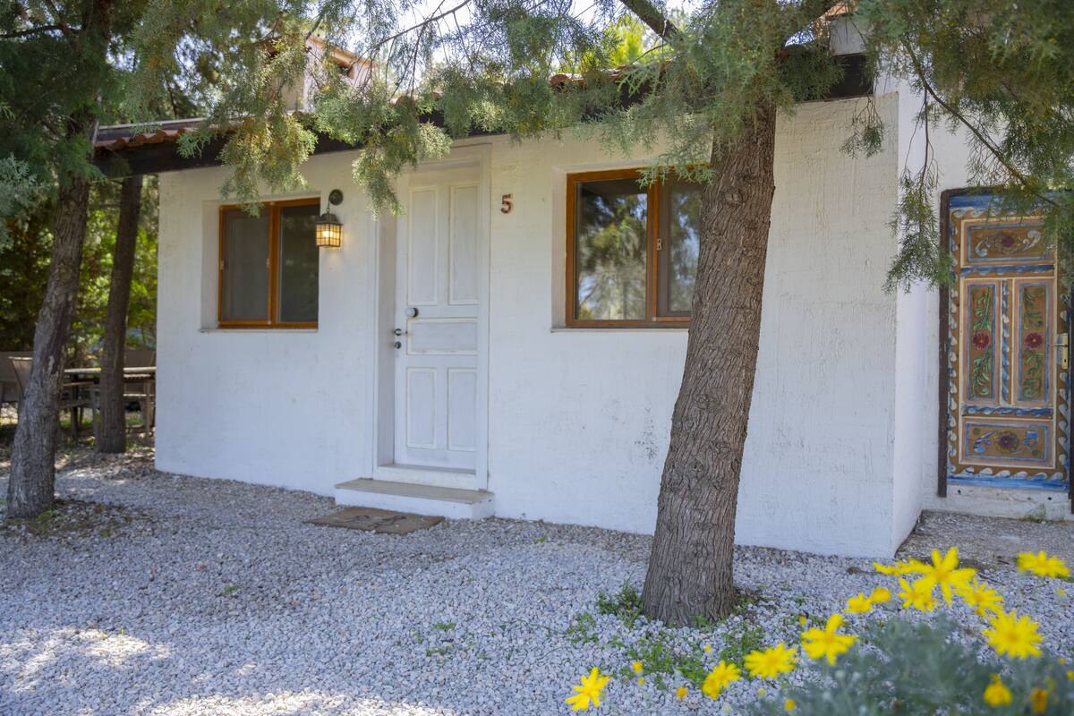 Un edificio blanco con una puerta, ventanas y el número 5 en la pared.