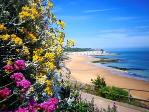 Een kuststrand met kliffen, een heldere lucht en kleurrijke bloemen.