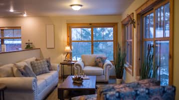 智能电视、壁炉、立体声音响