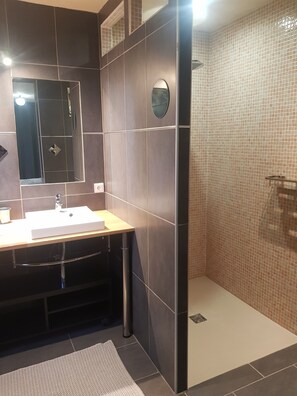 Shower, hair dryer, towels, toilet paper - House St Rémy de Provence with swimming pool 6 persons (Saint-Rémy-de-Provence)