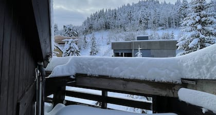 Studio résidence Les Sagnes