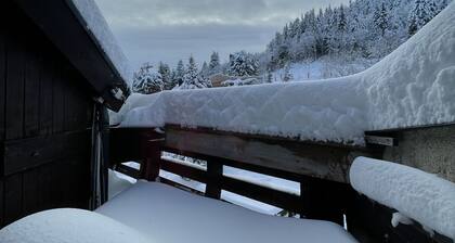 Studio résidence Les Sagnes