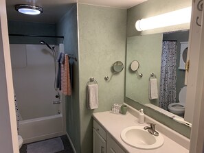 Combined shower/bathtub - Cozy pet friendly apartment close to downtown Bozeman (Bozeman)