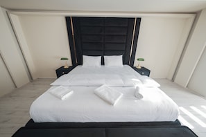 Deluxe Double Room, 1 King Bed, Refrigerator