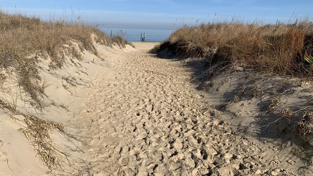 Ein sandiger Strandweg führt zum Meer, umgeben von trockenem Gras.