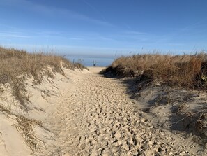 A sandy beach path leading to the ocean, surrounded by dry grass. - Beach House on the Bay (Norfolk)