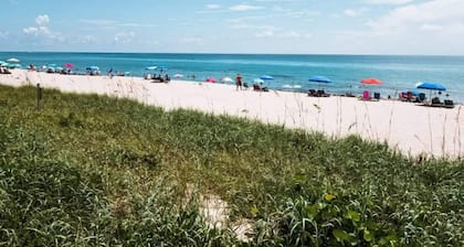 Beautiful Condo in Dunedin. 5 min from the beach!
