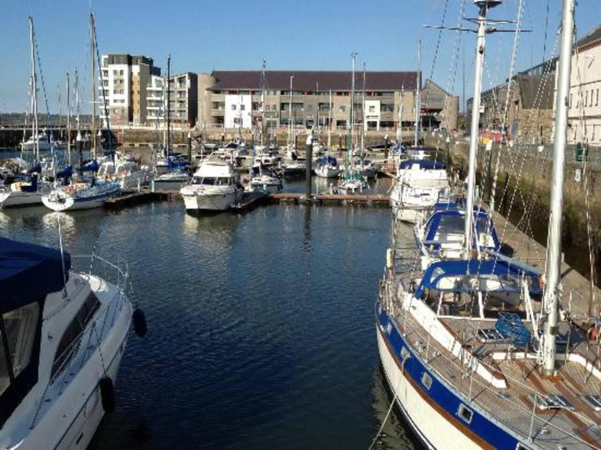 A marina with multiple boats docked, a building with a flat roof in the background, and a clear sky.