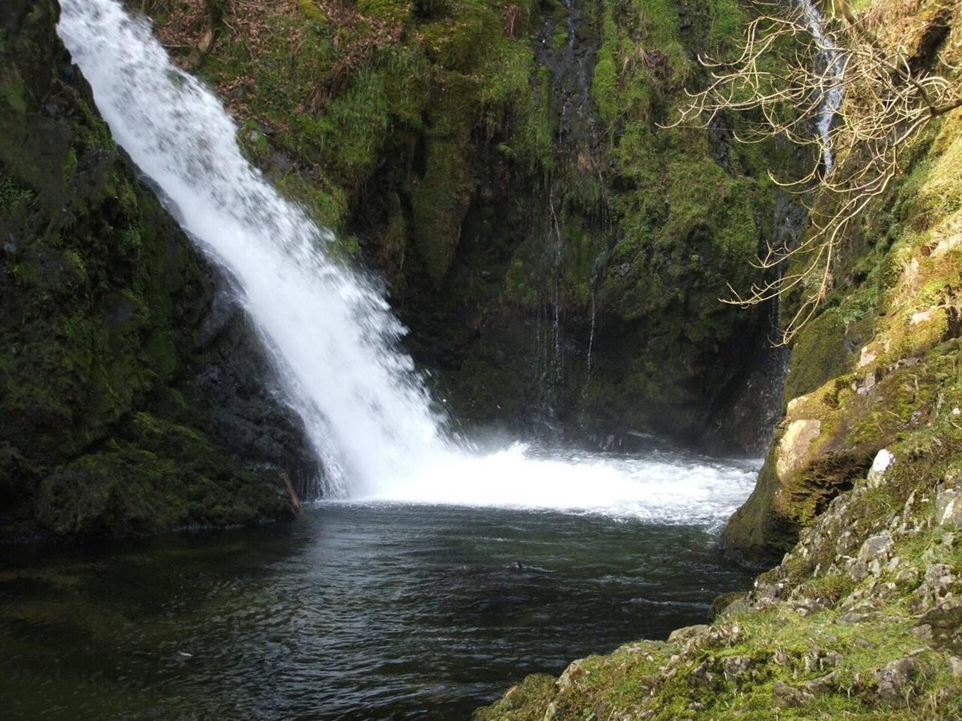 Ein Wasserfall stürzt in ein mit Moos bedecktes Becken.