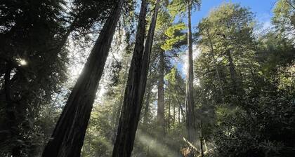 Cozy SF condo near Dolores Park