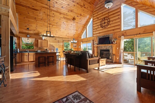 TV, fireplace, video games, ping pong