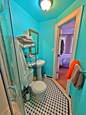 Shower - Great Morning Light in our Victorian Suite (Pittsburgh)