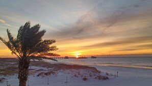 Une plage avec un palmier et un coucher de soleil.