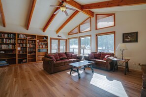 TV, fireplace, books