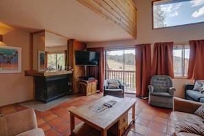 Flat-screen TV, fireplace, DVD player