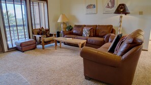 電視、壁爐、DVD 播放機