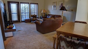 電視、壁爐、DVD 播放機