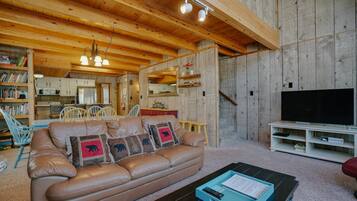 TV, fireplace, DVD player, video library