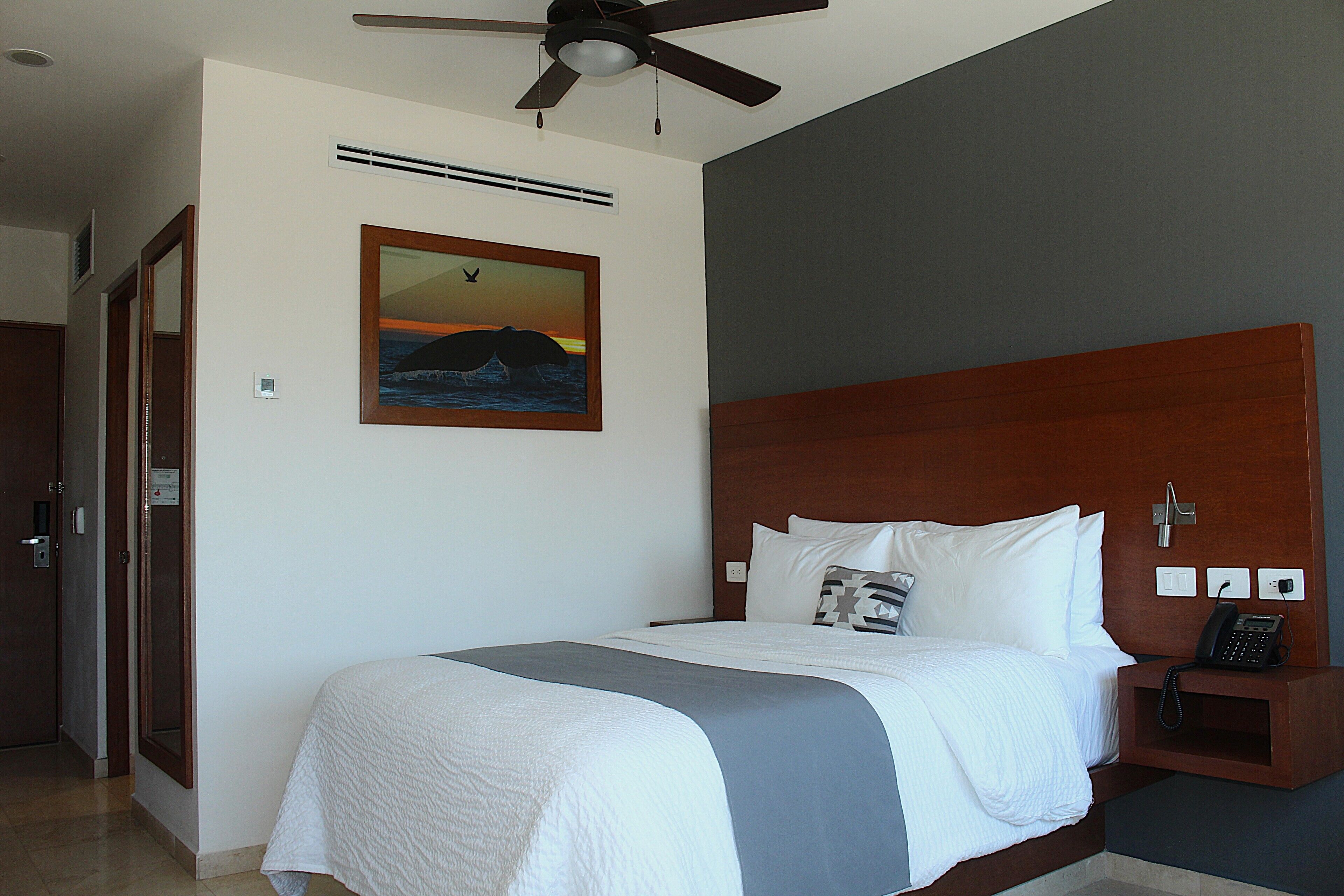 Foto - Gamma Los Cabos