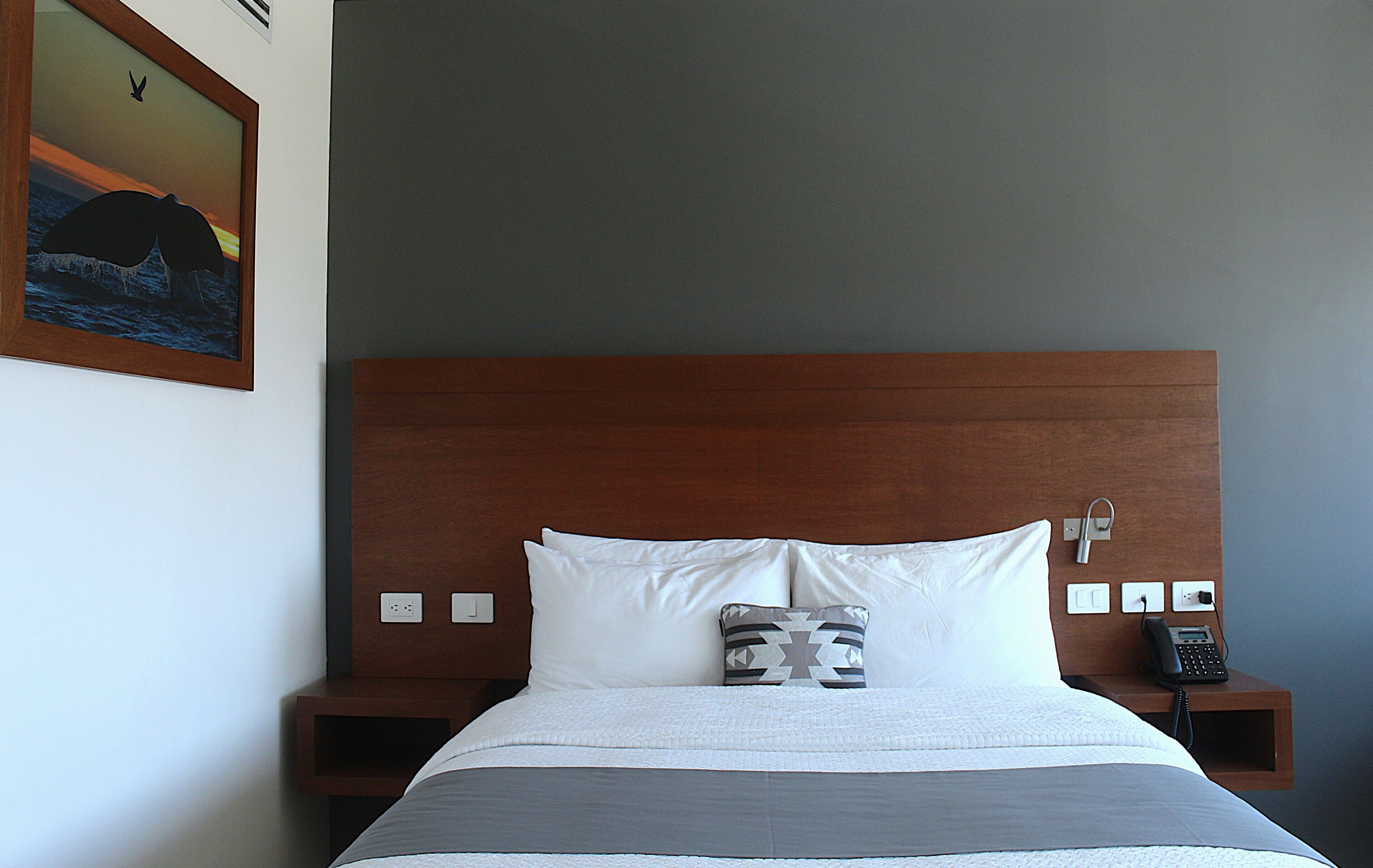 Foto - Gamma Los Cabos