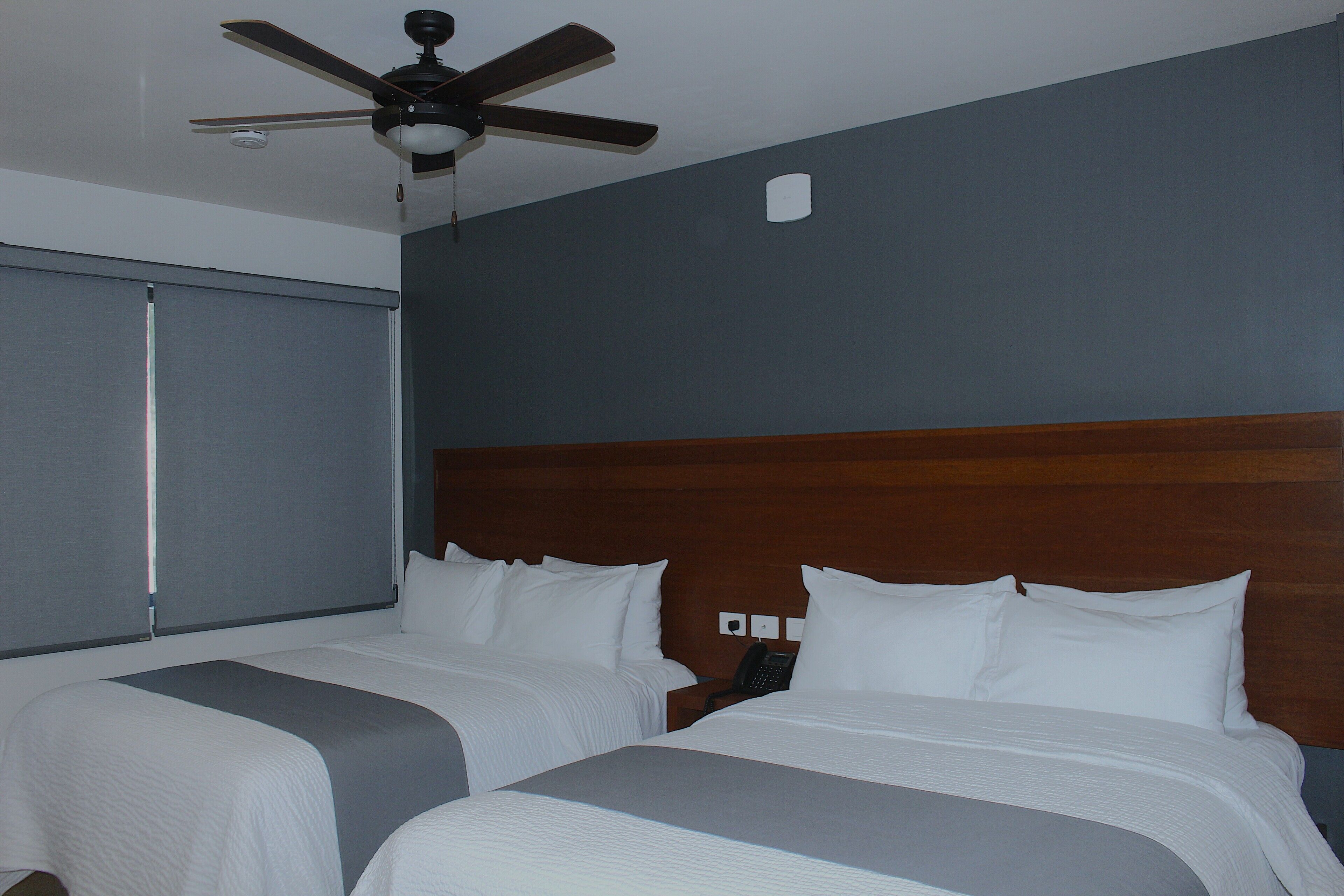 Foto - Gamma Los Cabos