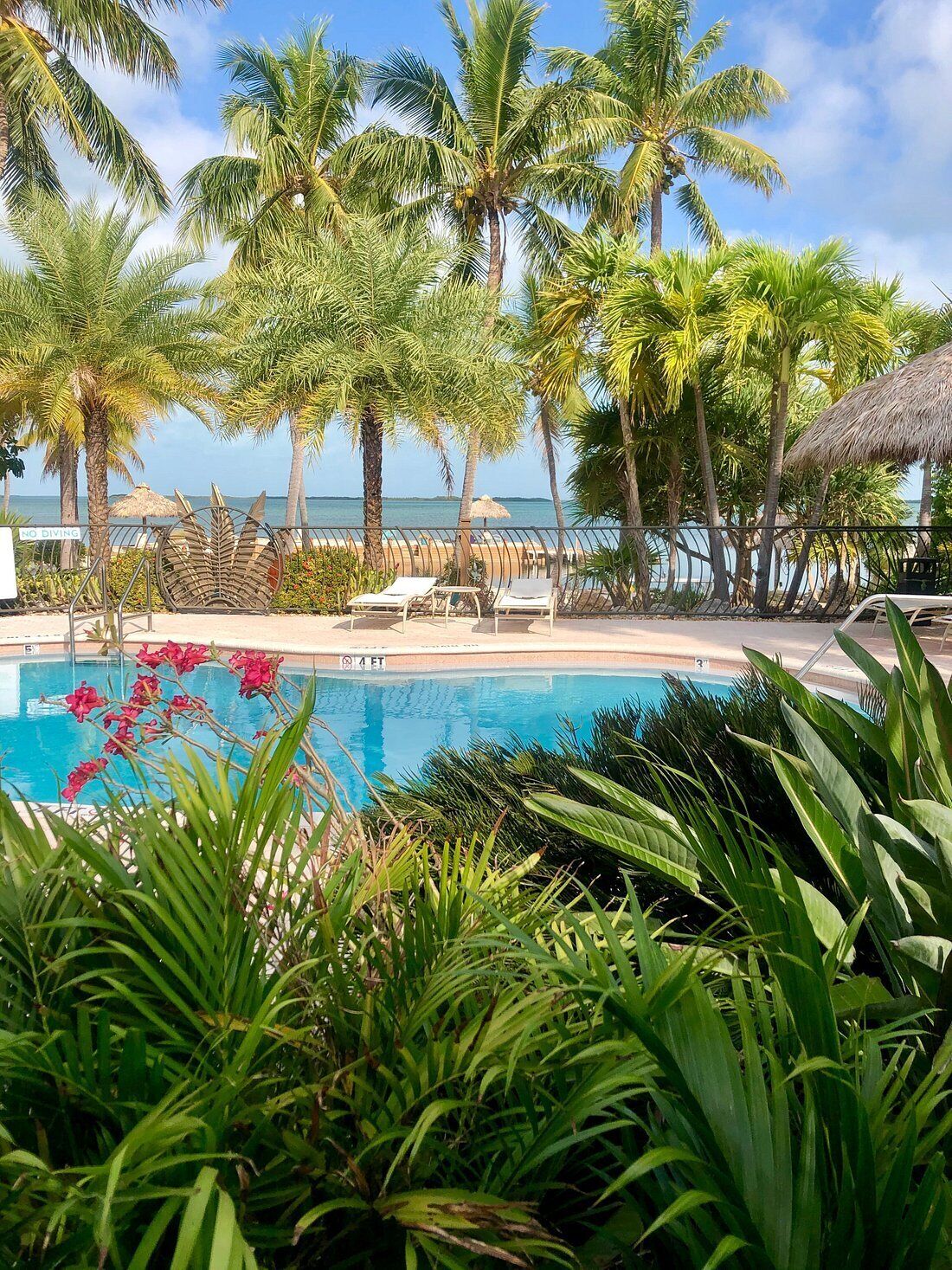 outdoor pool, pool loungers