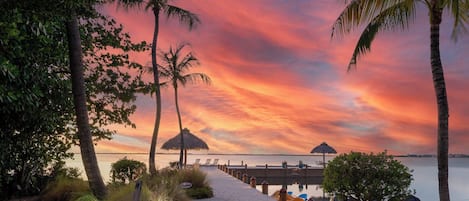 A beach with palm trees, a thatched-roof structure, and kayaks.