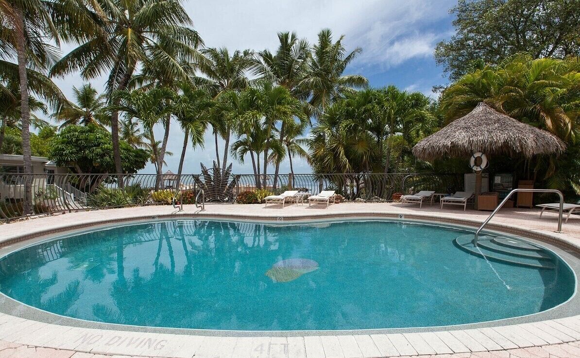Uma piscina com placa de 'NÃO MERGULHAR', cercada por palmeiras e cadeiras de descanso.