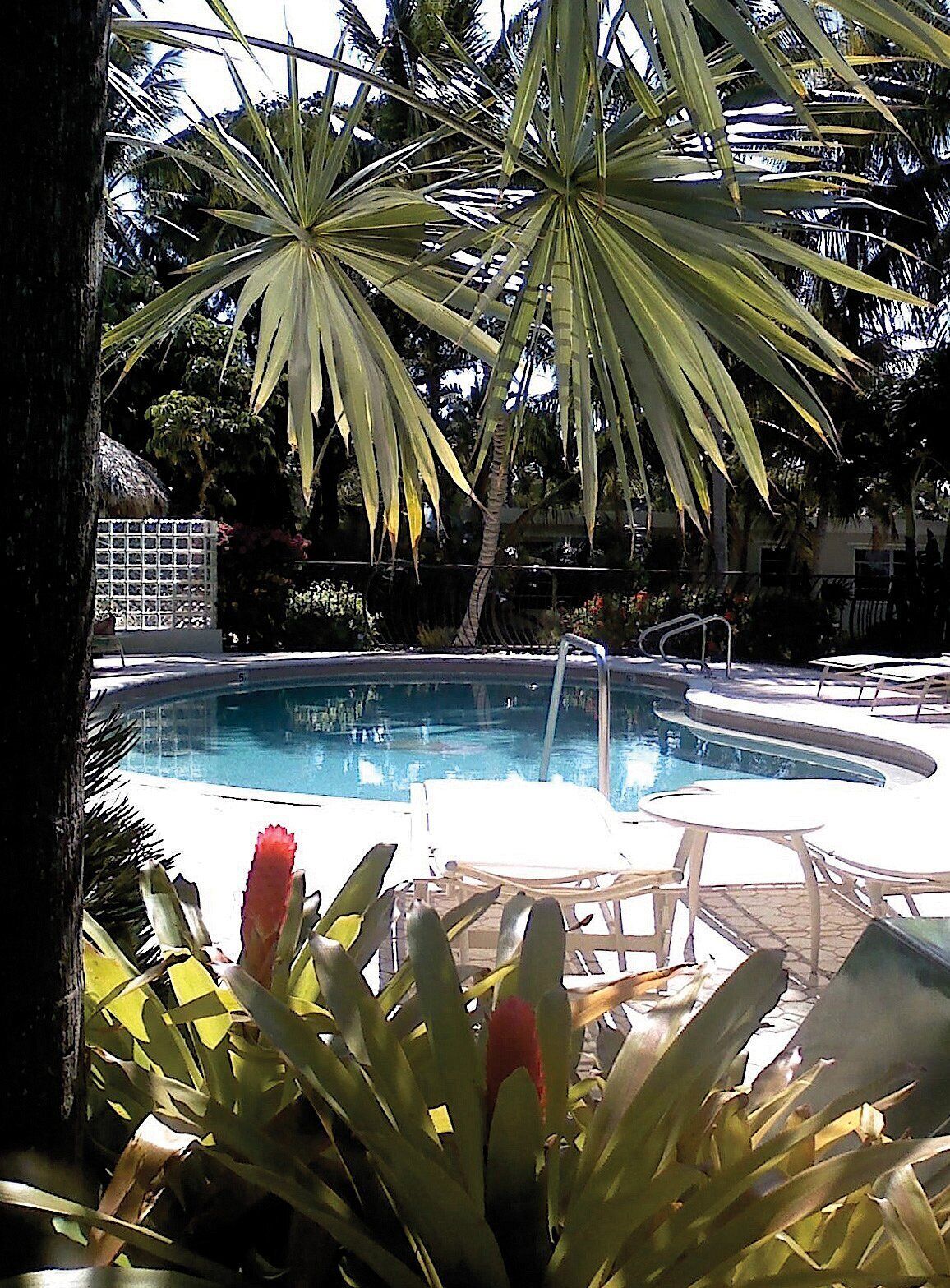 A pool area with lounge chairs and a thatched-roof structure.