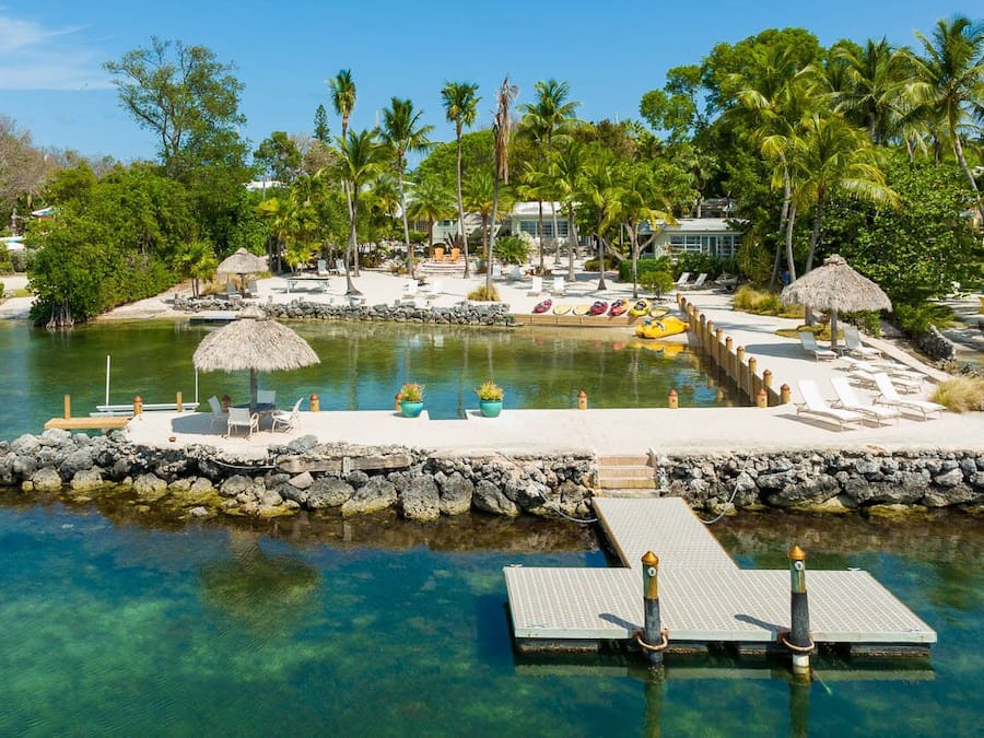 A tropical resort with a clear pool, palm trees, and lounge chairs.